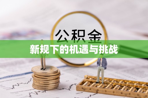下陆新规下的机遇与挑战