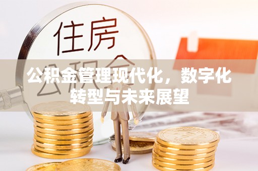 下陆公积金管理现代化，数字化转型与未来展望