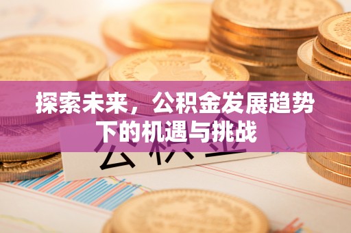 下陆探索未来，公积金发展趋势下的机遇与挑战